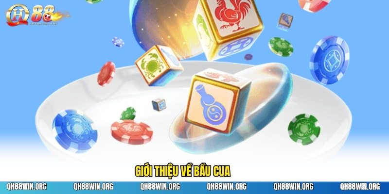 Giới thiệu về bầu cua