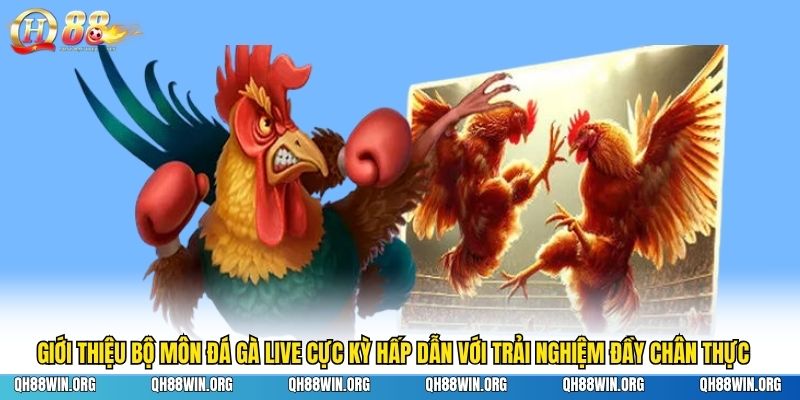 Giới thiệu bộ môn đá gà live cực kỳ hấp dẫn với trải nghiệm đầy chân thực