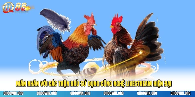 Mãn nhãn với các trận đấu sử dụng công nghệ livestream hiện đại