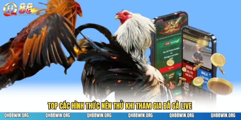 Top các hình thức nên thử khi tham gia đá gà live