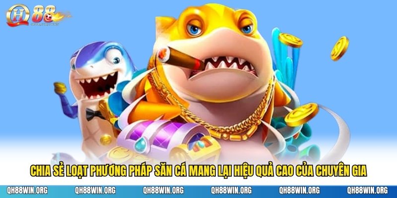Chia sẻ loạt phương pháp săn cá mang lại hiệu quả cao của chuyên gia